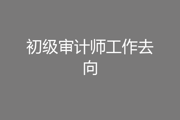初级审计师工作去向