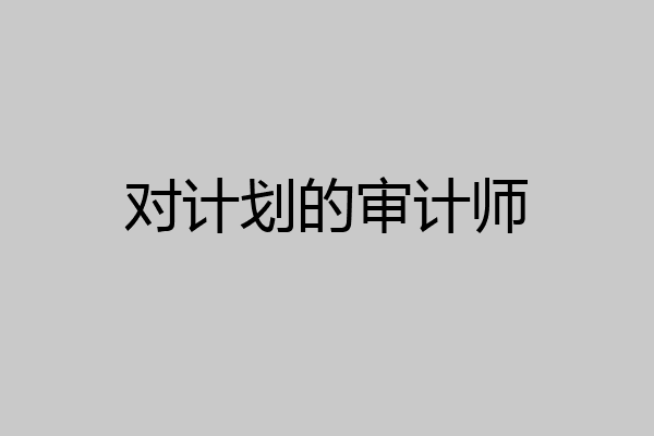对计划的审计师