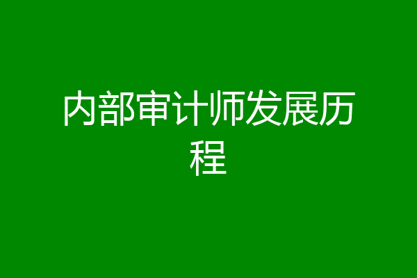 内部审计师发展历程