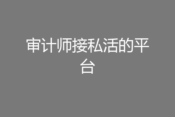 审计师接私活的平台