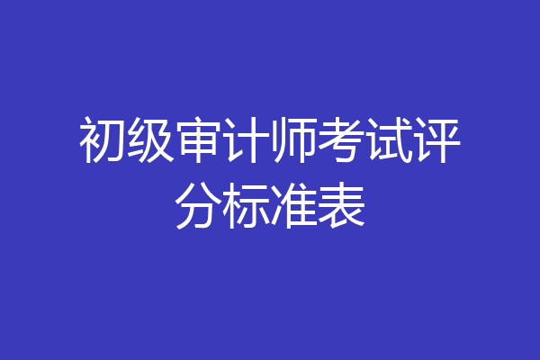 初级审计师考试评分标准表