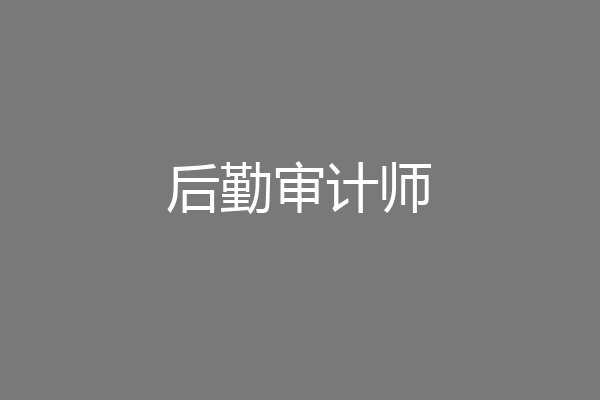 后勤审计师
