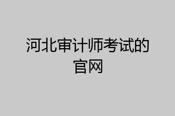 河北审计师考试的官网