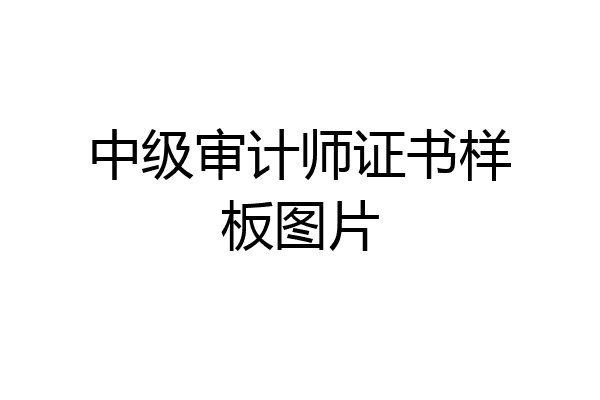 中级审计师证书样板图片