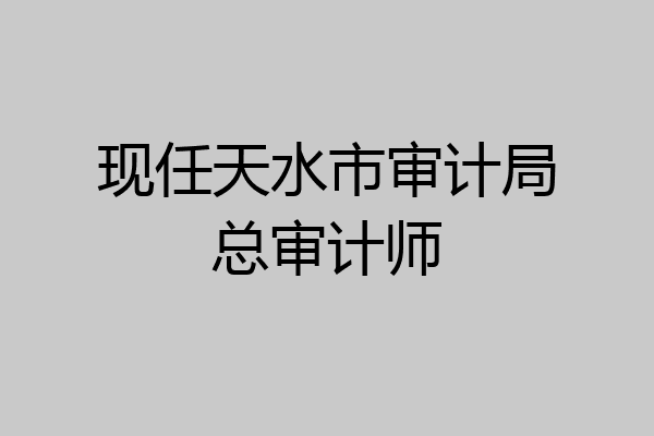现任天水市审计局总审计师