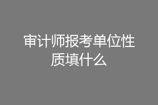 审计师报考单位性质填什么