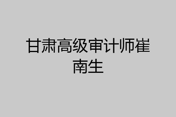 甘肃高级审计师崔南生
