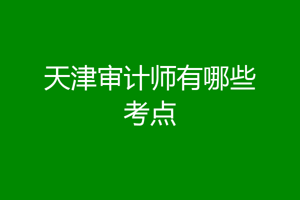 天津审计师有哪些考点