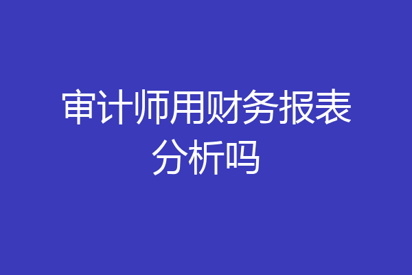 审计师用财务报表分析吗
