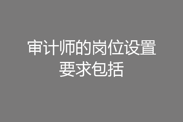 审计师的岗位设置要求包括