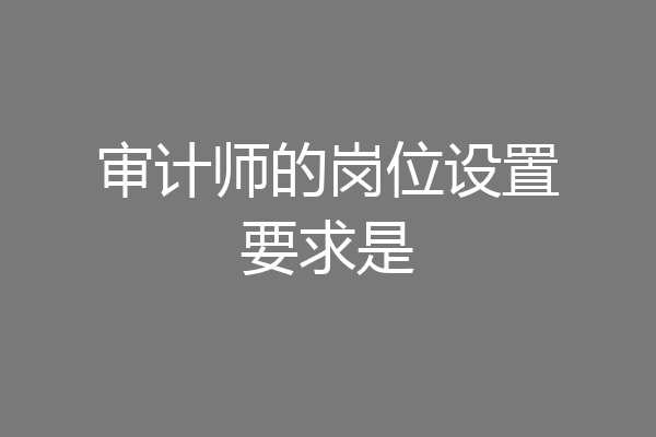 审计师的岗位设置要求是