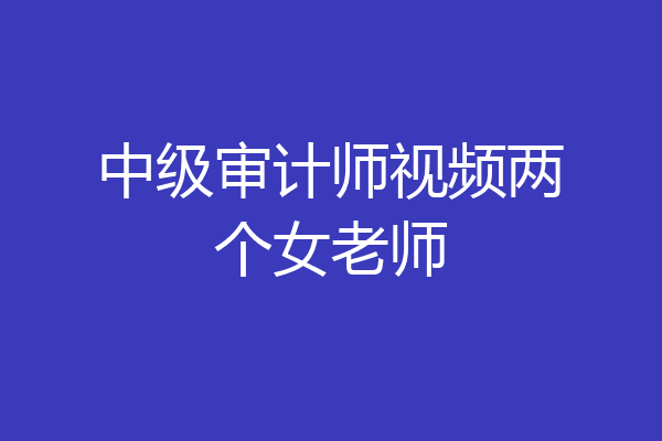 中级审计师视频两个女老师