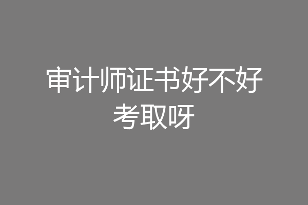 审计师证书好不好考取呀