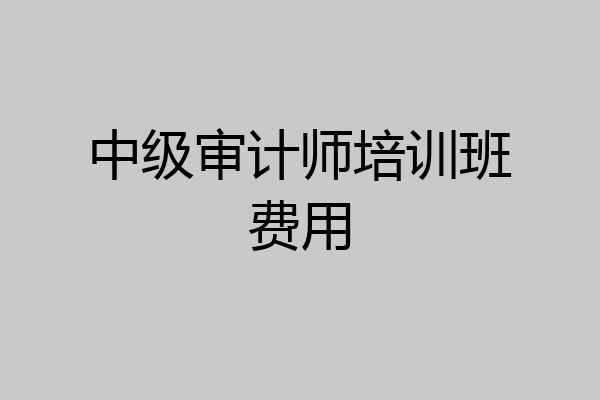 中级审计师培训班费用