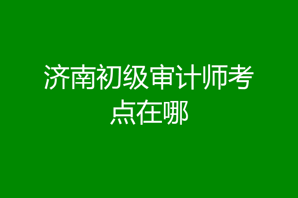 济南初级审计师考点在哪
