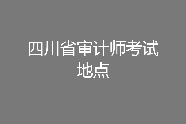 四川省审计师考试地点
