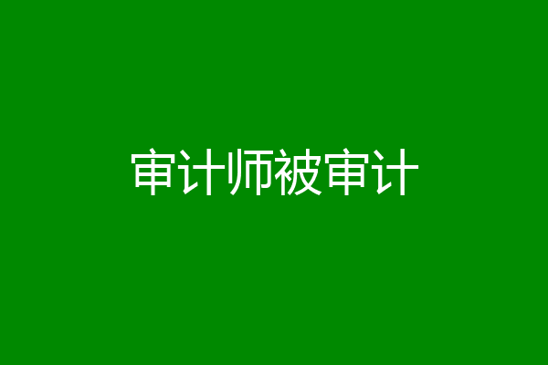 审计师被审计