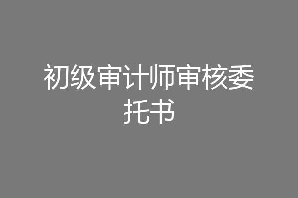 初级审计师审核委托书