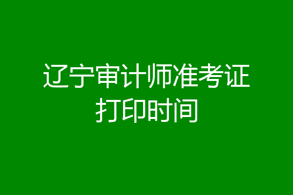 辽宁审计师准考证打印时间