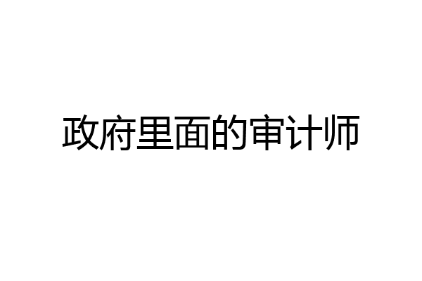 政府里面的审计师