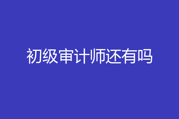 初级审计师还有吗