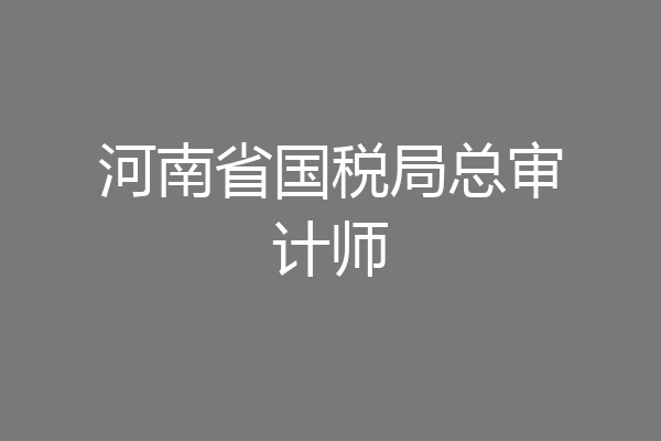 河南省国税局总审计师