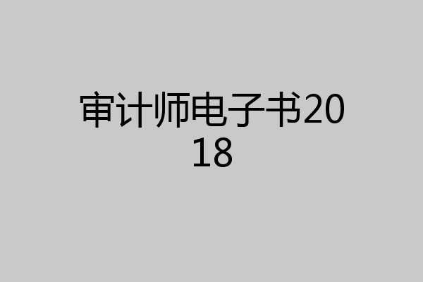 审计师电子书2018