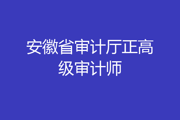 安徽省审计厅正高级审计师