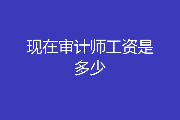 现在审计师工资是多少