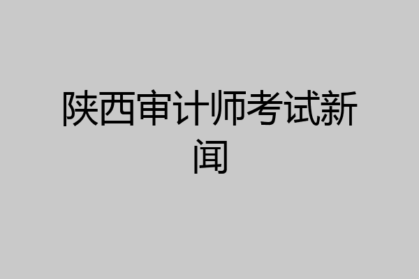 陕西审计师考试新闻