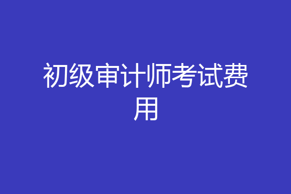初级审计师考试费用