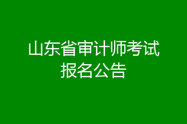 山东省审计师考试报名公告