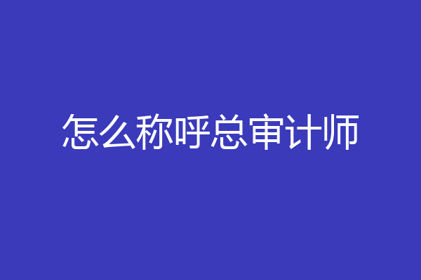 怎么称呼总审计师