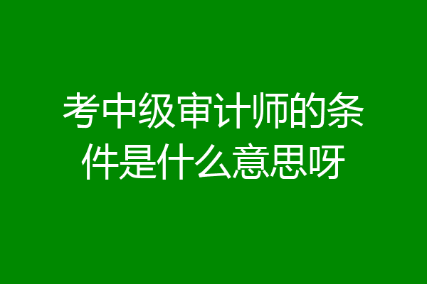 考中级审计师的条件是什么意思呀