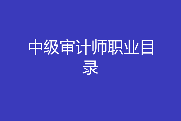 中级审计师职业目录