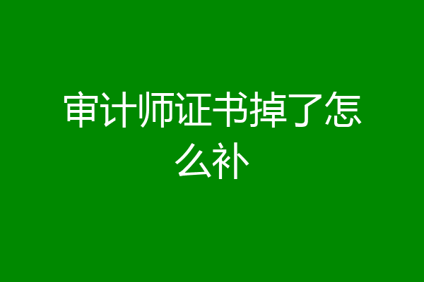 审计师证书掉了怎么补
