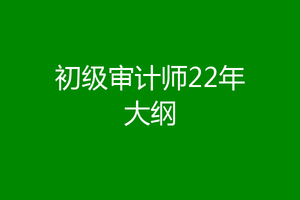 初级审计师22年大纲