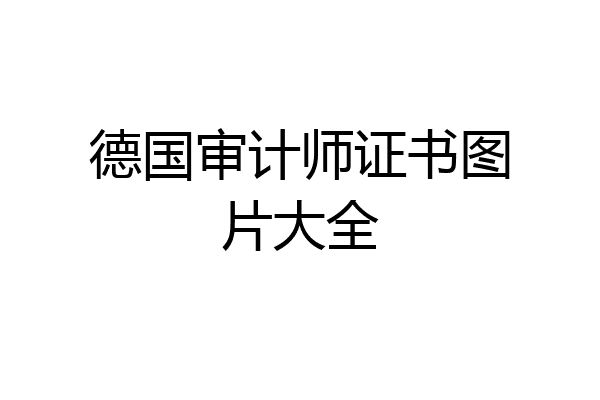 德国审计师证书图片大全