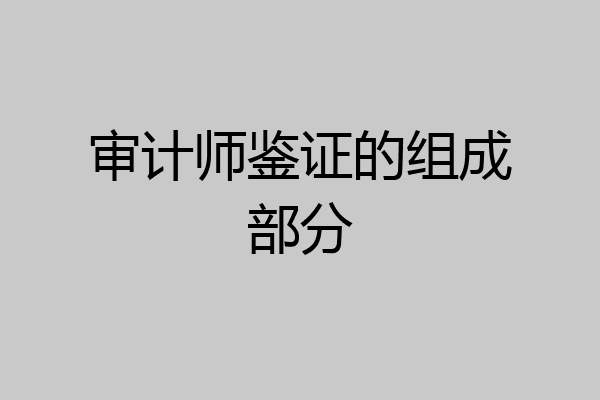 审计师鉴证的组成部分
