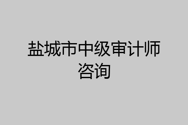 盐城市中级审计师咨询