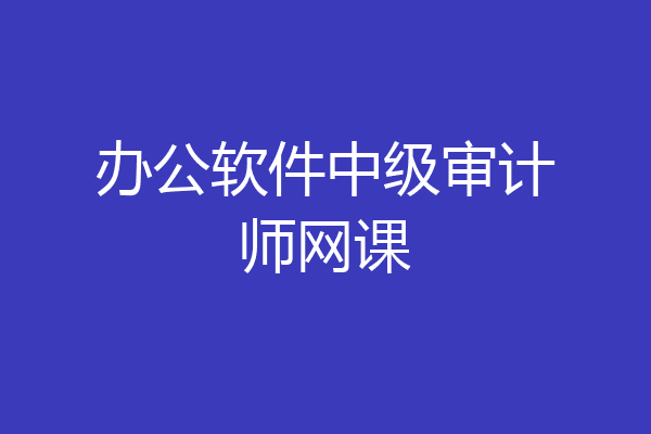 办公软件中级审计师网课