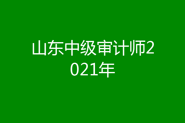 山东中级审计师2021年