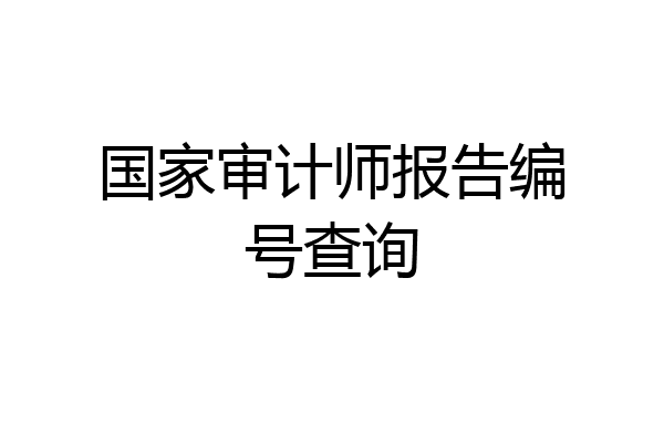 国家审计师报告编号查询
