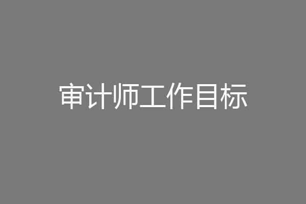 审计师工作目标