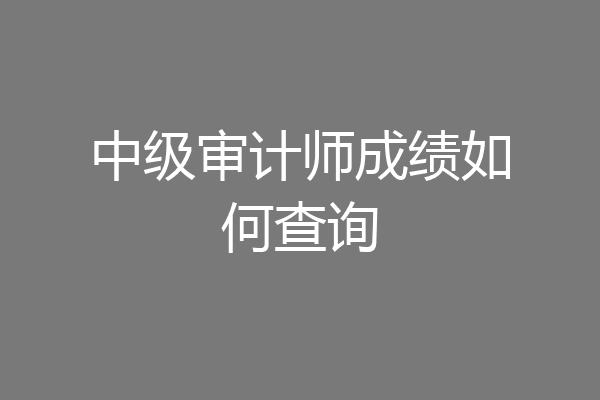 中级审计师成绩如何查询