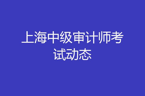 上海中级审计师考试动态