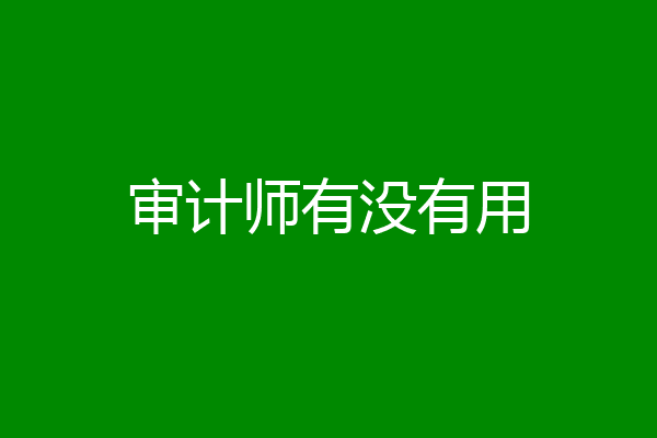 审计师有没有用