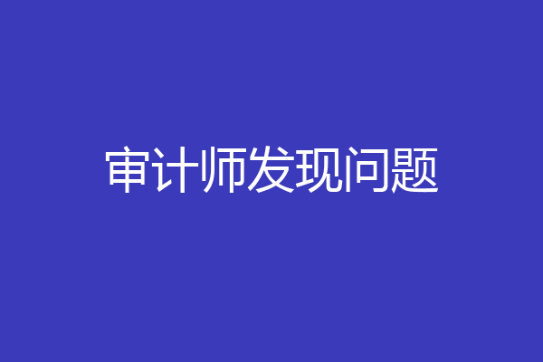 审计师发现问题