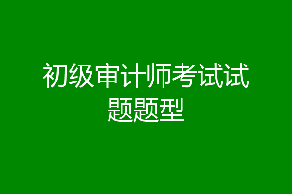 初级审计师考试试题题型