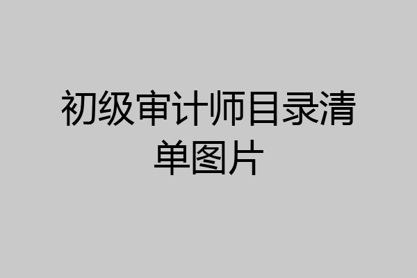 初级审计师目录清单图片